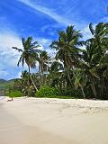 SEYCHELLES - 880 - Mahe, Anse Marie Louise